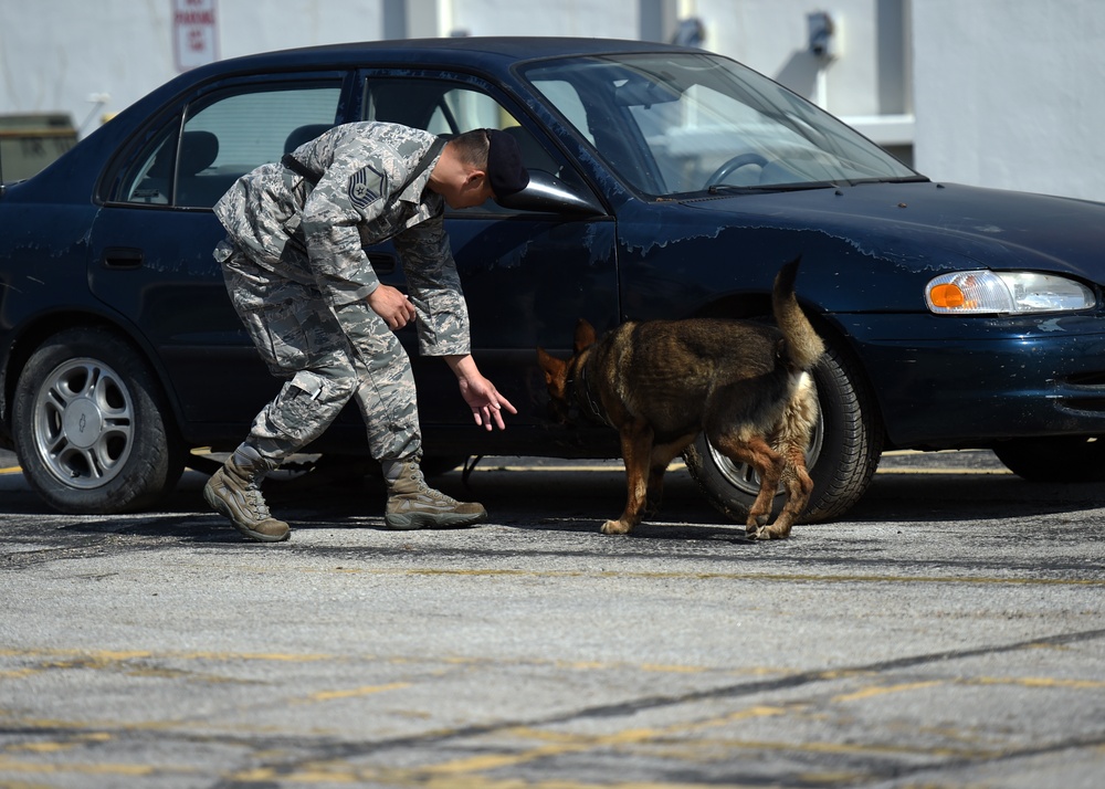 K9 Training for Wingman Day 2018