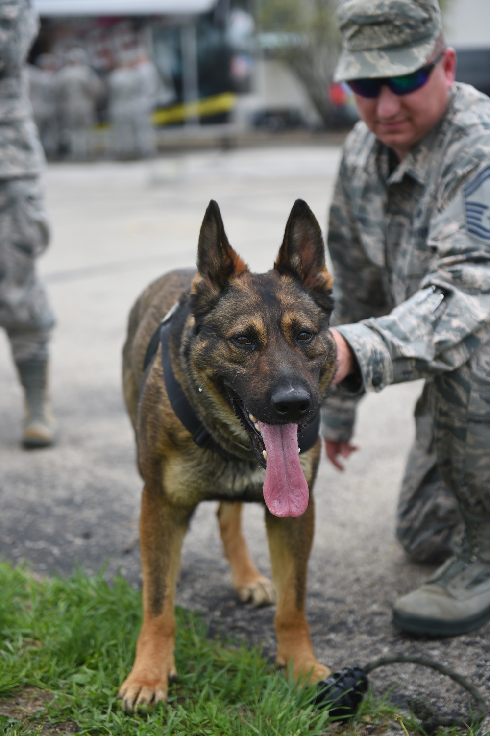 K9 Training for Wingman Day 2018