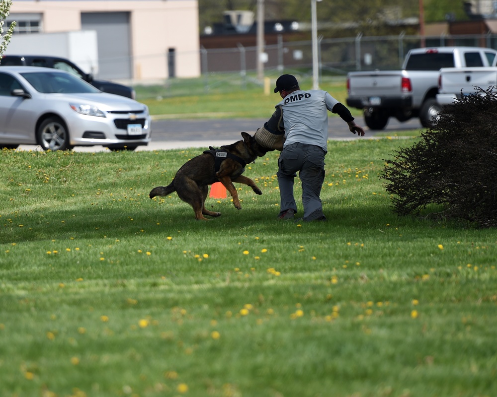 K9 Training for Wingman Day 2018