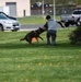 K9 Training for Wingman Day 2018