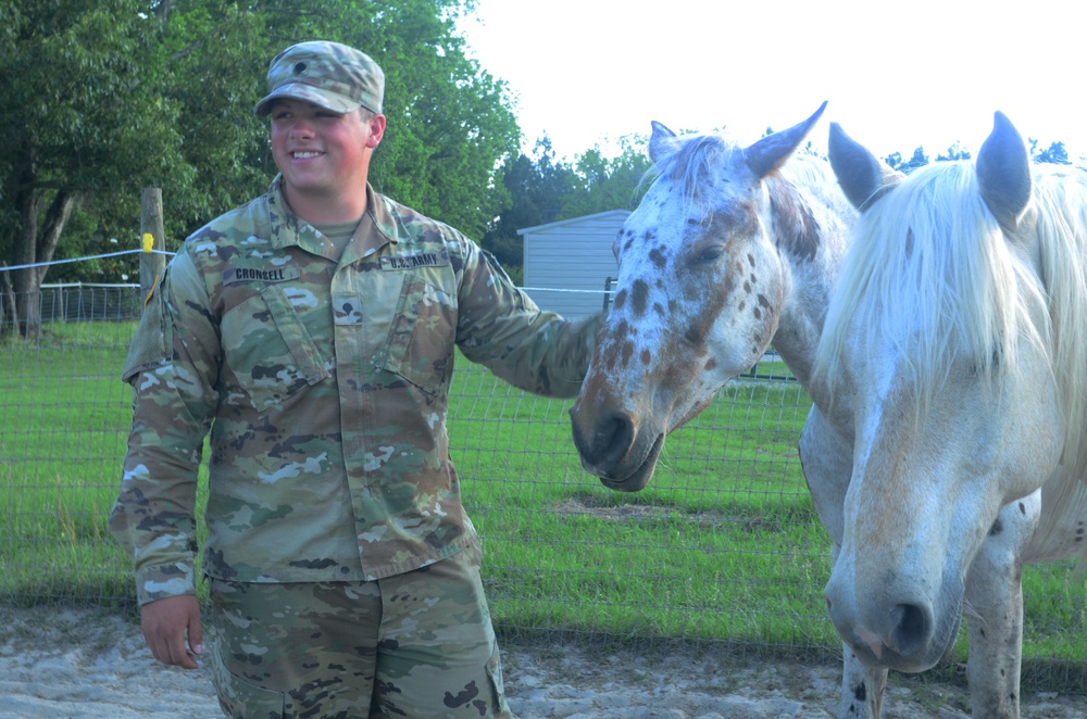 Volunteers at local equine rescue heal through care, love