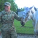 Volunteers at local equine rescue heal through care, love