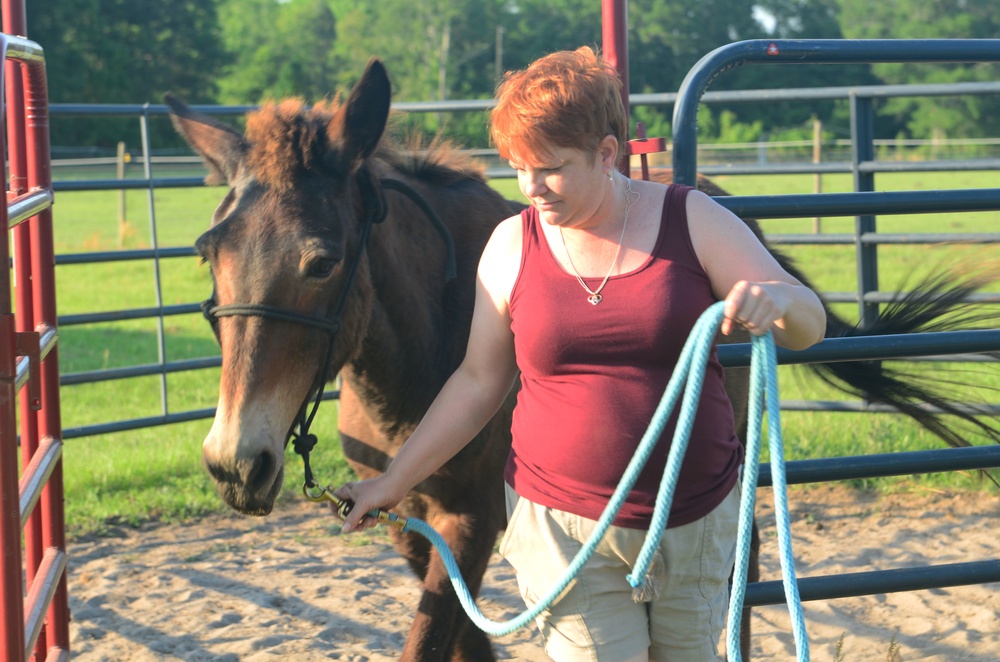 Volunteers at local equine rescue heal through care, love