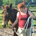 Volunteers at local equine rescue heal through care, love