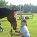 Volunteers at local equine rescue heal through care, love