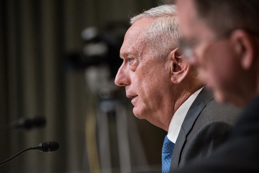 SECDEF CJCS SAC-D Hearing