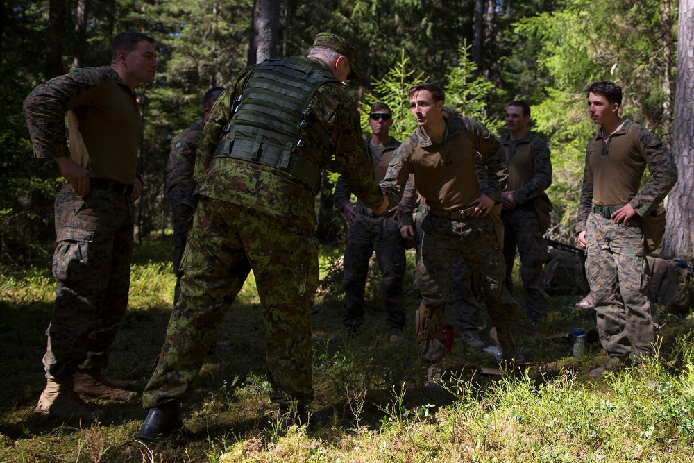 Exercise Hedgehog: Estonian Defense Forces Commander Visit