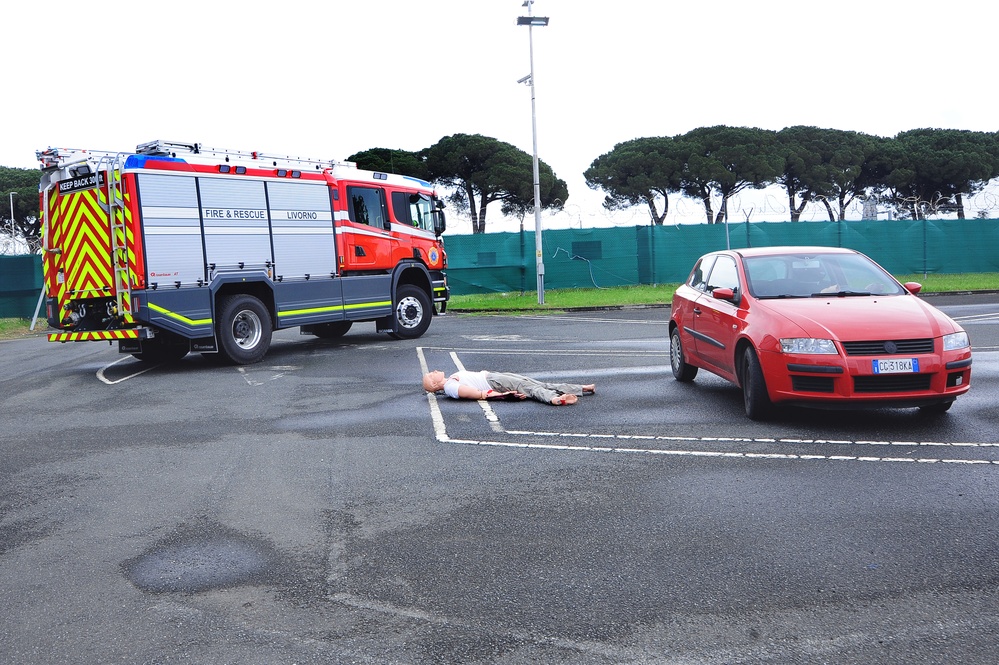 Lion Response Exercise 2018