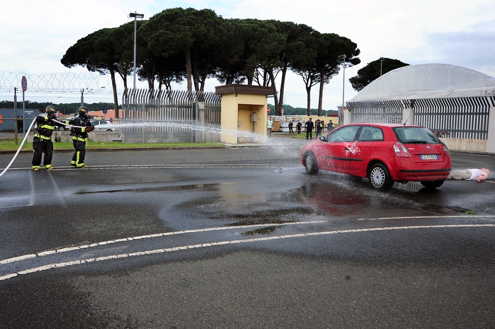 Lions Response Exercise