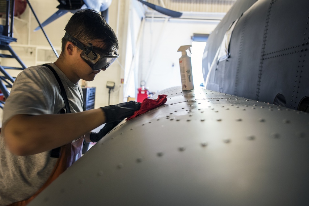 Combat King gets 'royal' treatment during wash