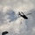 5th Ranger Training Battalion Water Jump