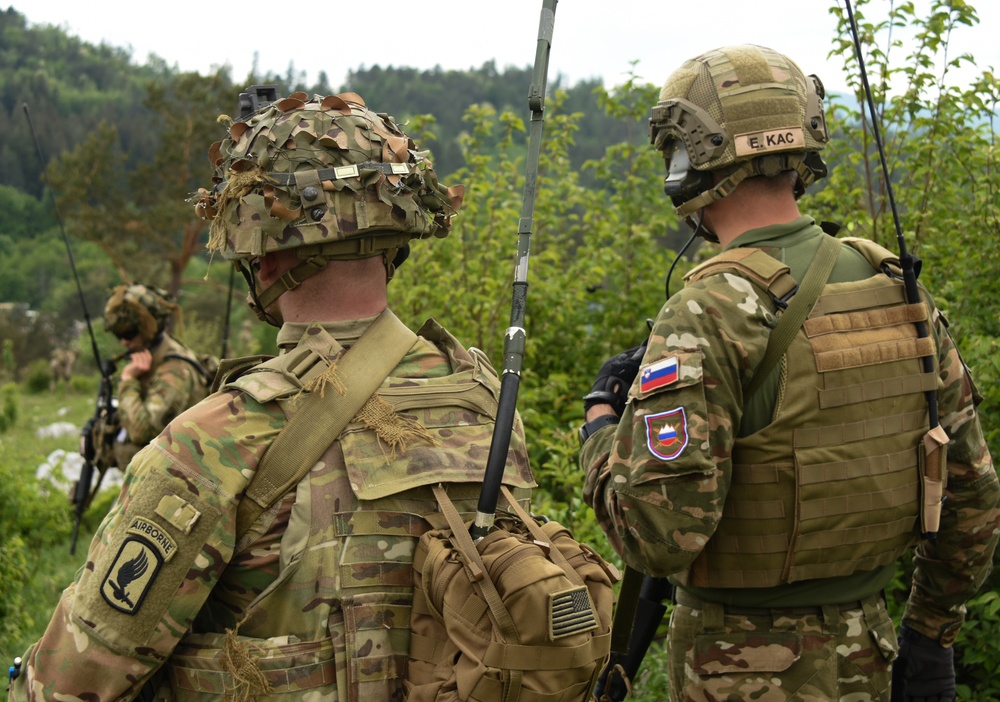 Sky Soldier Joint Interoperability in Slovenia