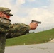 Interoperability range: MPs host, Germans &amp; Polish fire M9s