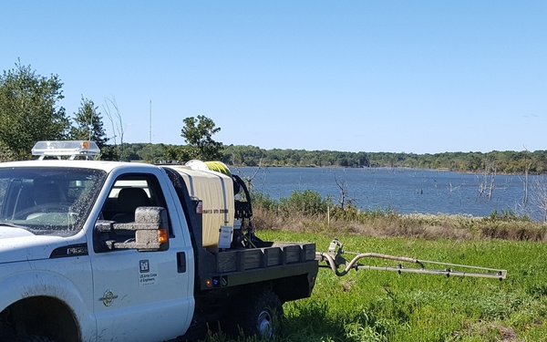 The fight against invasive species and how you can help