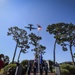 24 Airmen awarded Distinguished Flying Cross