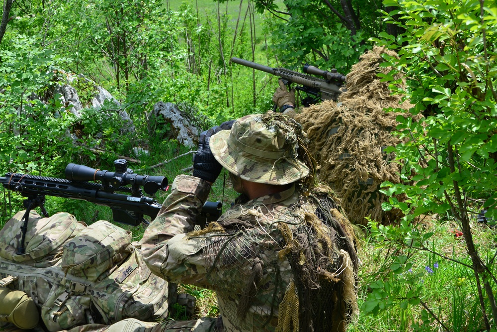 ROCK SOKOL 2018, 173rd Airborne Brigade  live fire training at pocek , Slovenia  10 may 2018