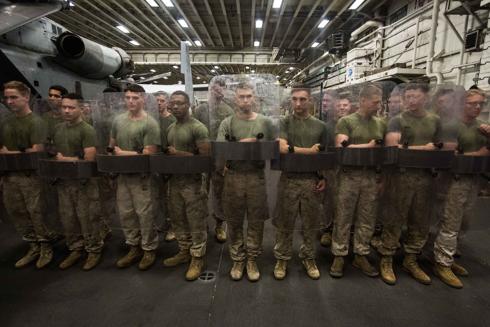 BLT 2/6 participates in riot control training during non-lethal techniques course