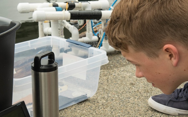 PSNS Teams With NUWC to Help Students Explore Marine Life