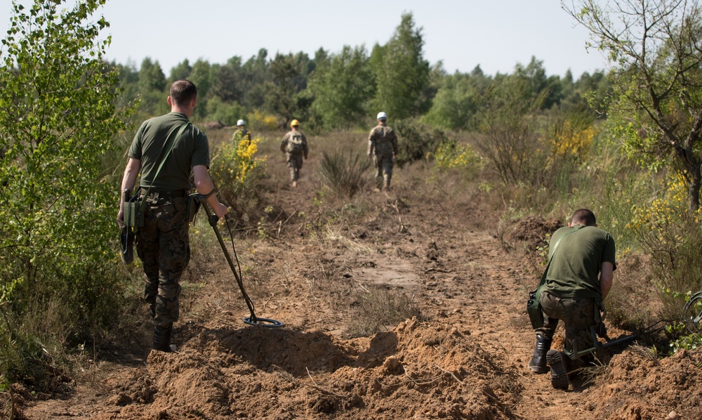 Polish, US Engineers clear a path for training in Poland