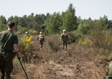 Polish, US Engineers clear a path for training in Poland