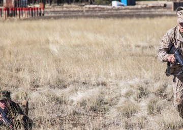 RS Phoenix tests its future officer candidates