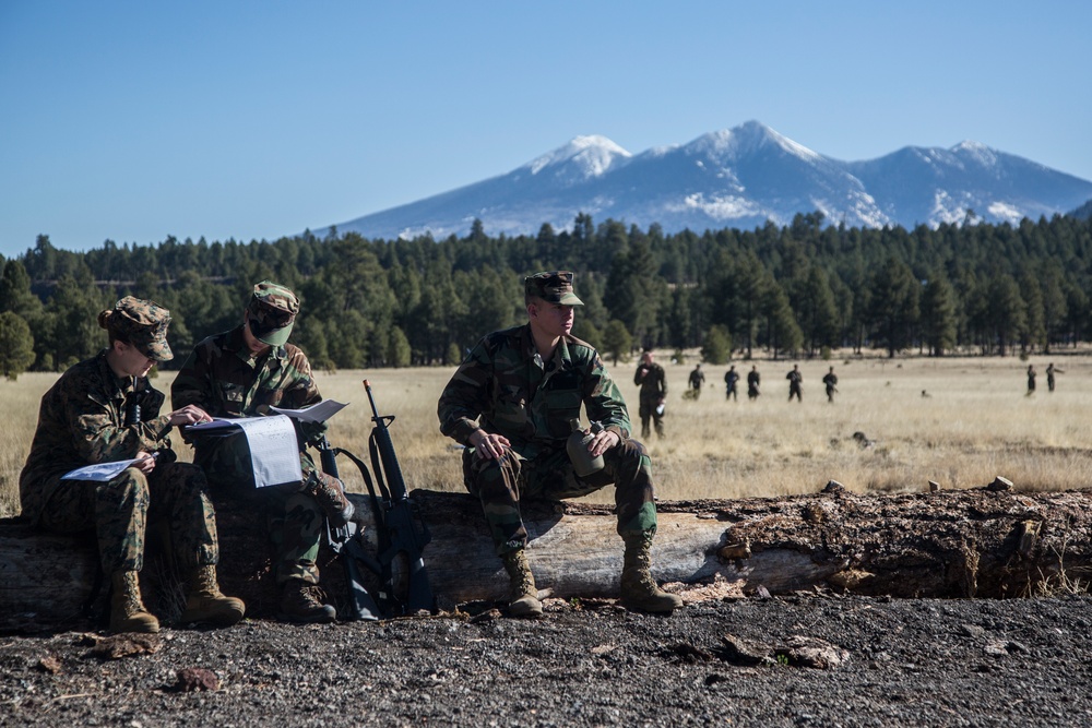 RS Phoenix tests its future officer candidates