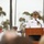commander; Amphibious Squadron (PHIBRON) 3 change of command ceremony