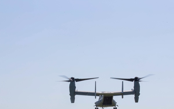 V3/8 India Co. Aerial Insert