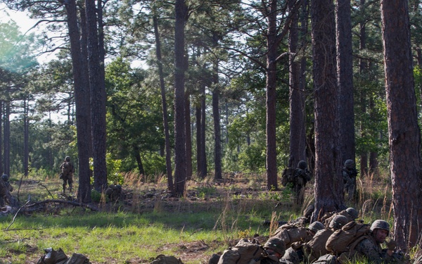 V3/8 India Co. Aerial Insert