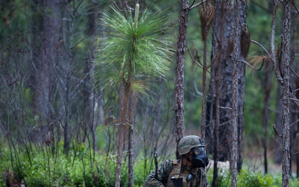 V3/8 India Co. CS Gas training