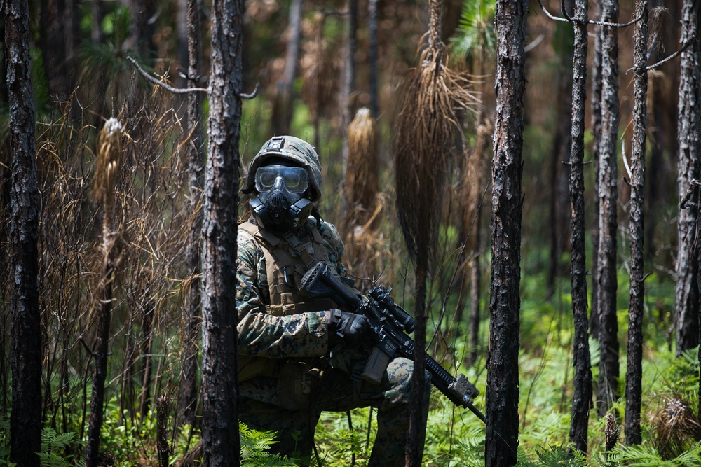 V38 India Co. CS Gas training