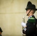 Norwegian King's Guard