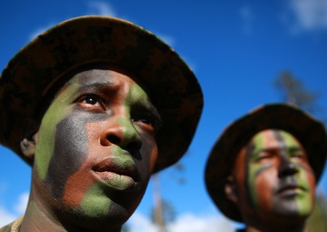 Exercise Hedgehog: Five-Paragraph Order