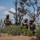 Three soldiers in full combat gear are moving through sparse scrubland terrain under a partly cloudy sky. They are wearing camouflage uniforms with helmets featuring foliage garnish and are carrying assault rifles. The scene appears to depict a military patrol or training exercise in an arid, brushy environment.
