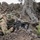 A soldier in full multicam camouflage gear is positioned prone behind volcanic rock cover, aiming an M4-style carbine rifle downrange. The soldier is equipped with a large rucksack, helmet with camouflage netting, and appears to be in a tactical overwatch or defensive position. The terrain features dark volcanic rock, sparse desert vegetation, and a dead tree in the background, suggesting a training or operational environment in a high-desert region.