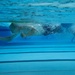 Wipeout challenge