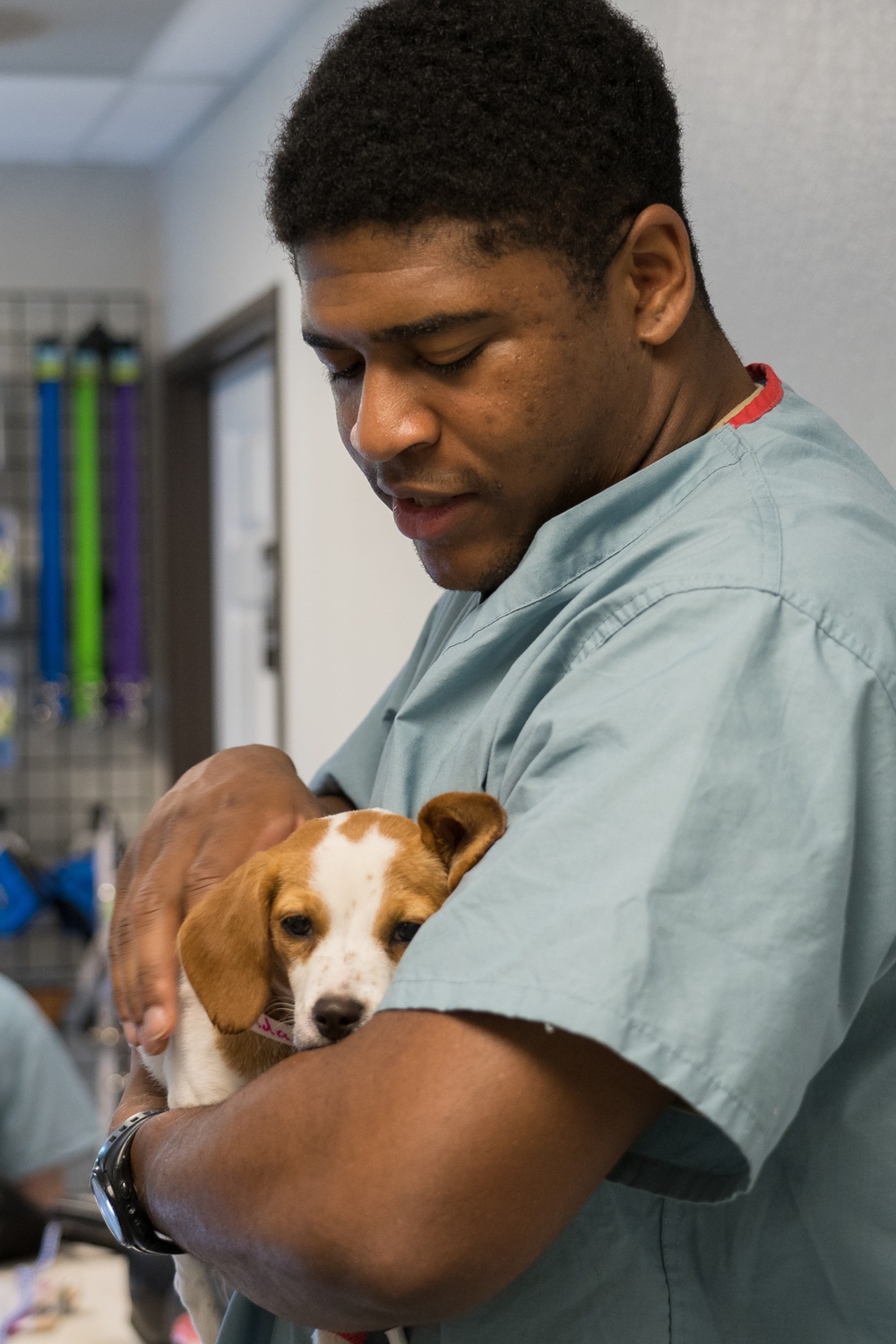 Vets care for pets during Innovative Readiness Training