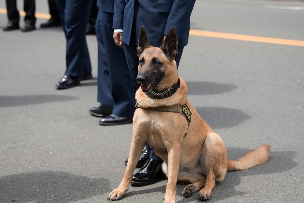Honoring the Fallen
