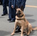 Honoring the Fallen