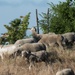 Sheep and Goats Clean Up Travis AFB