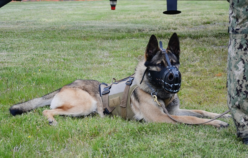 Virginia flight crews, helicopters support Navy SEALS training 