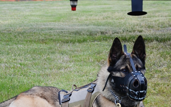 Virginia flight crews, helicopters support Navy SEALS training 