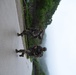 Day 6 Foot March Eighth Army 2018 Best Warrior Competition