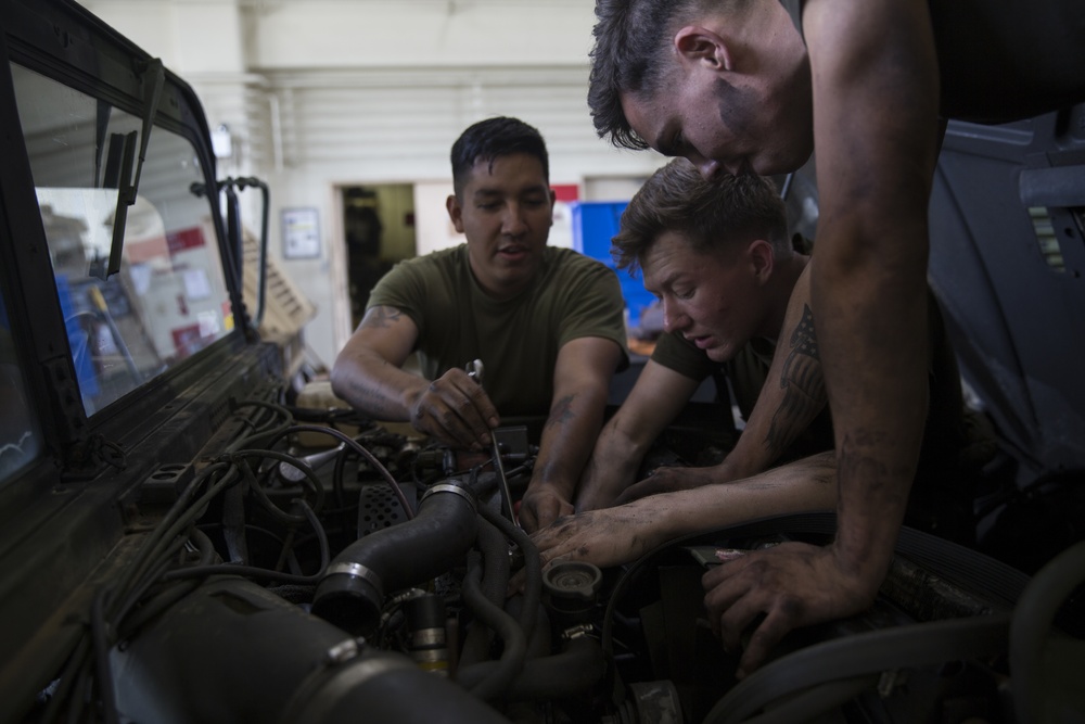 31st MEU maintain equipment and readiness