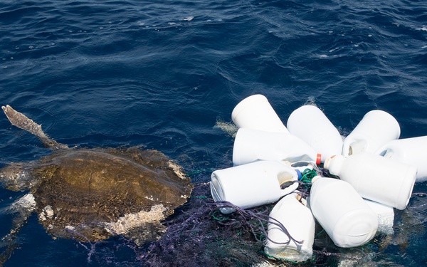 A sea turtle is entangled in a dark fishing net alongside a cluster of white plastic buoys or containers floating at the ocean surface. The turtle appears to be trapped or severely restricted by the netting, which is a common form of bycatch or ghost gear entanglement. This image depicts a marine wildlife entanglement incident in open ocean waters.
