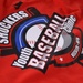 Biloxi Shuckers host youth baseball clinic