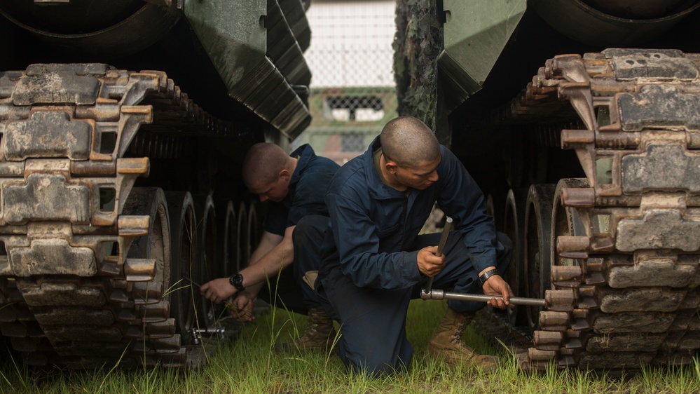 2nd Assault Amphibian Battalion's DFT begins