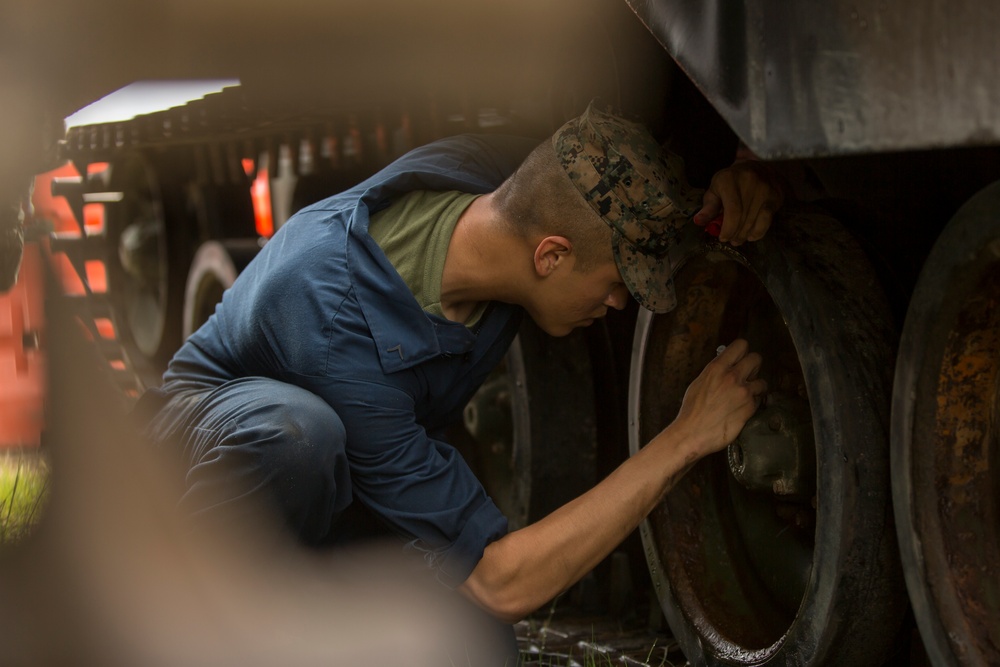 2nd Assault Amphibian Battalion DFT begins