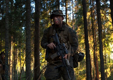 Exercise Hedgehog: Platoon Counter-Attack