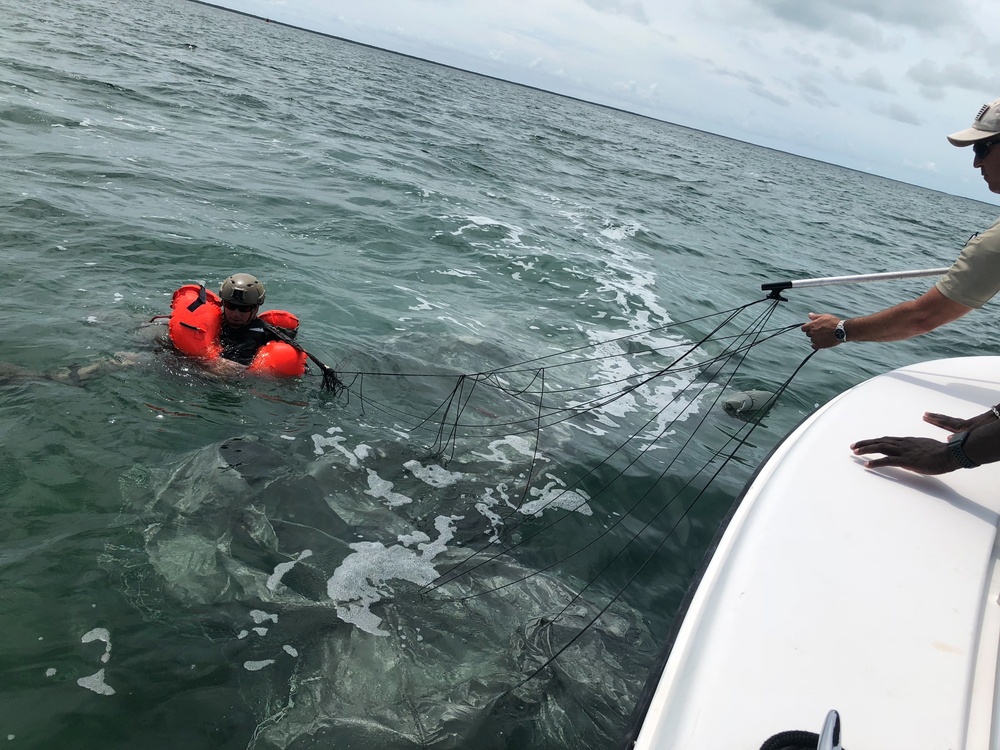 Biscayne Bay Deliberate Water Operation